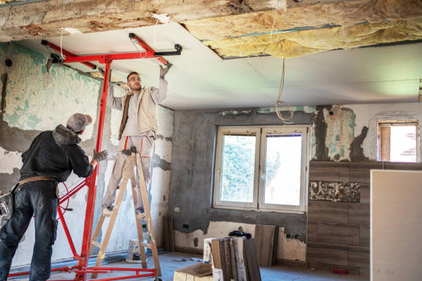 Best Insulation Maintenance and Repair in South Kensington, MD