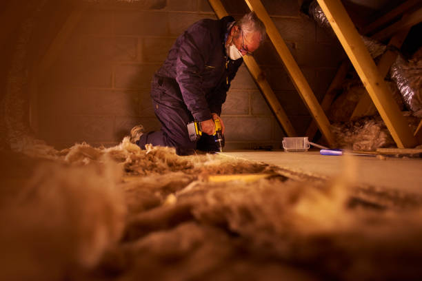 Best Insulation Installation Services in South Kensington, MD